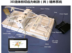 3D动态脑屏障培养检测系统